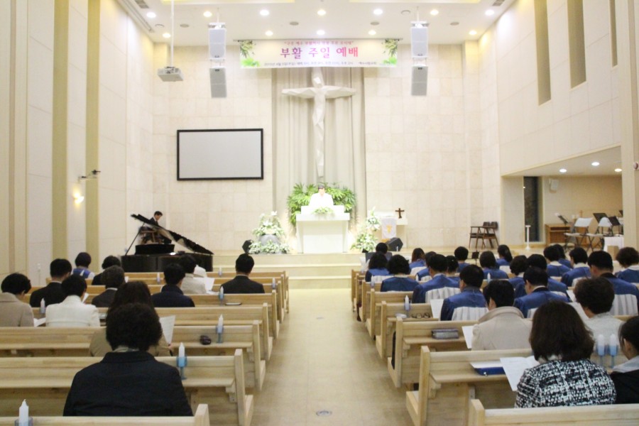 예수사랑교회 / 교회사진첩